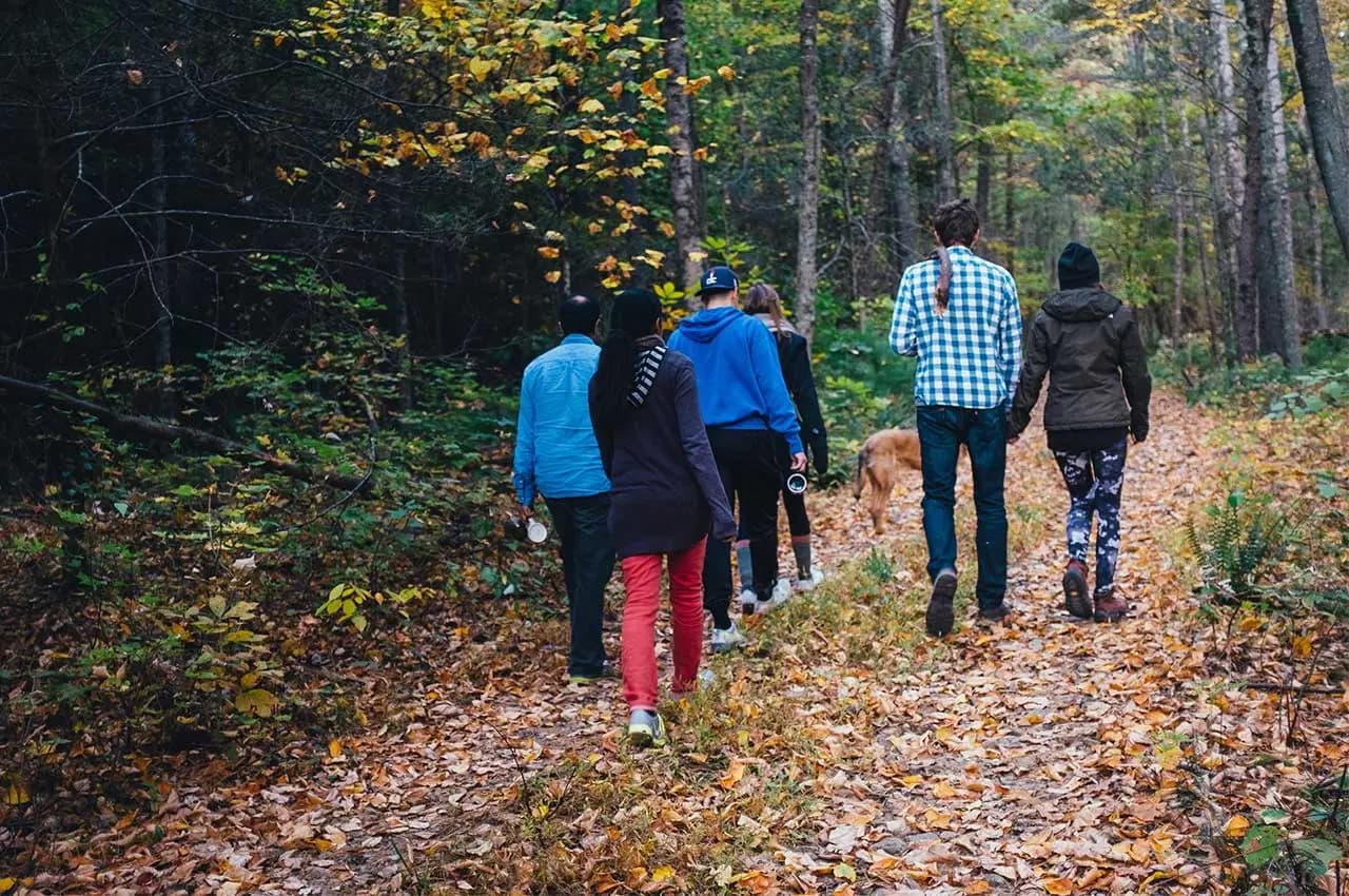 Forest Trail Walk Deforet