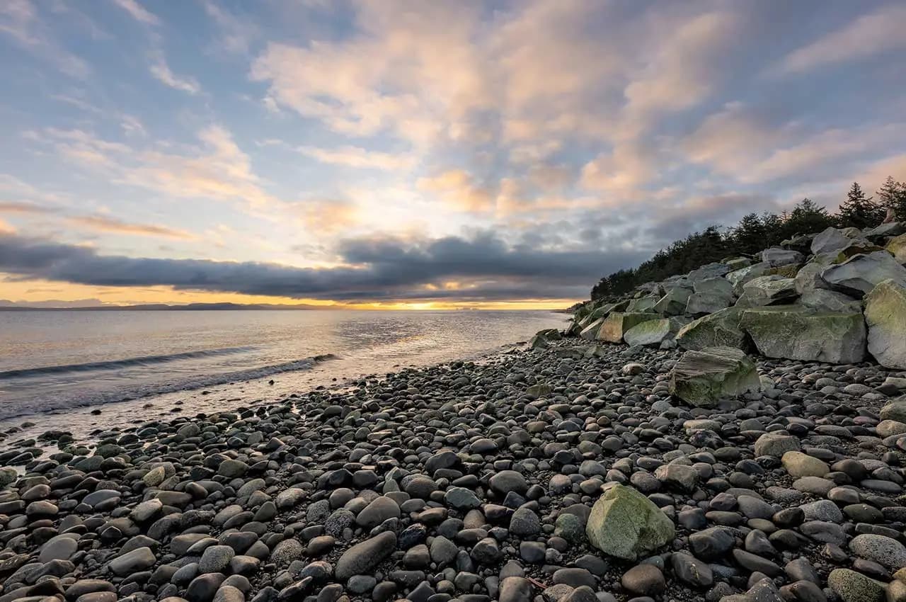 Intertidal Walk Deforet